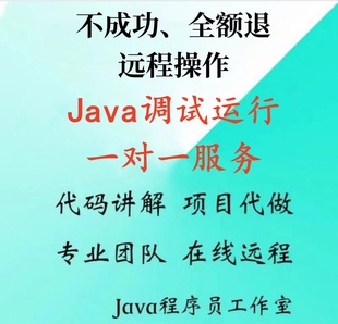 java代码调试bug修改eclipse运行指导讲解maven错误项目答疑