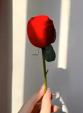 浪漫告白PK戒指盒生日礼物玫瑰花情侣钻戒结婚戒指绒花520礼盒