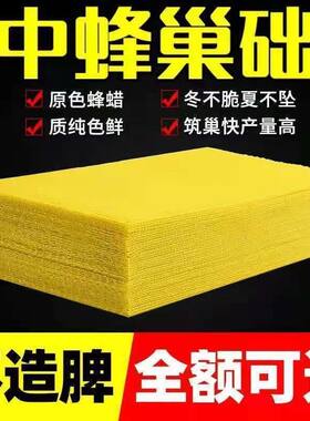蜜蜂蜂巢巢础巢框蜂蜡中蜂深房蜂箱专用30包邮养蜂工具巢脾巢基