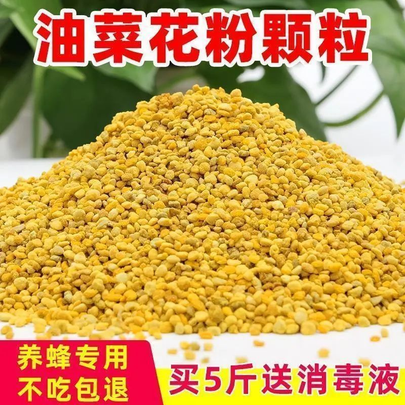 蜜蜂饲料喂蜂花粉天然油菜杂粉颗粒状养蜂中意蜂专用花粉末纯花粉