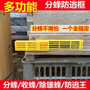 中蜂自动分蜂器防逃框蜜蜂专用介王王笼蜂王防跑片控王去雄蜂工具