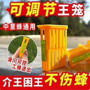 (可调节)多功能王笼蜂王中蜂邮寄蜜蜂专用控王囚王意蜂防逃养蜂