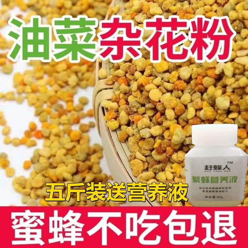 油菜花粉纯天然正品喂蜂养蜂包邮中锋专用花粉杂粉颗粒状蜜蜂饲料