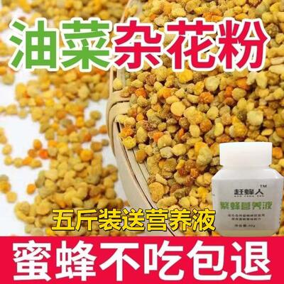 油菜花粉纯天然正品喂蜂养蜂包邮中锋专用花粉杂粉颗粒状蜜蜂饲料