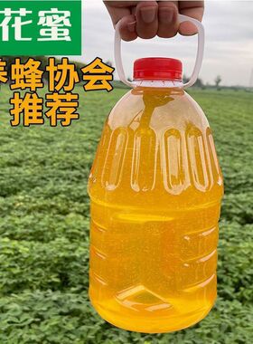 喂蜂蜂蜜5斤装蜜蜂口粮天然喂蜂专用蜂蜜 中蜂饲料中蜂蜂粮