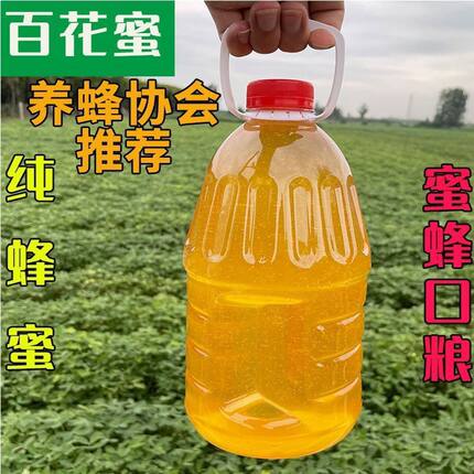 喂蜂蜂蜜5斤装蜜蜂口粮天然喂蜂专用蜂蜜 中蜂饲料中蜂蜂粮