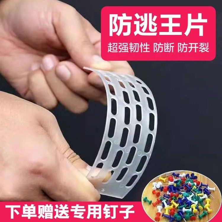 中蜂蜂王防逃片新款蜜蜂防逃片多功能标准巢门蜂王防逃器蜜蜂用具