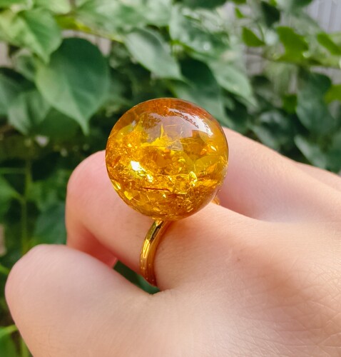 天然琥珀蜜蜡花珀虫珀戒指，戒指可调节，不支持退换