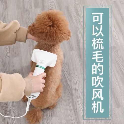 狗狗吹风机拉毛一体速干比熊泰迪蓬松梳毛器猫咪狗狗洗澡吹梳神器
