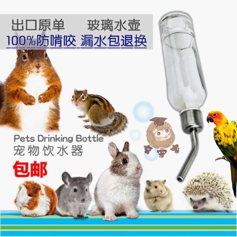 宠物玻璃水壶 饮水器刺猬猫咪兔兔仓鼠龙猫松鼠 仓鼠水壶