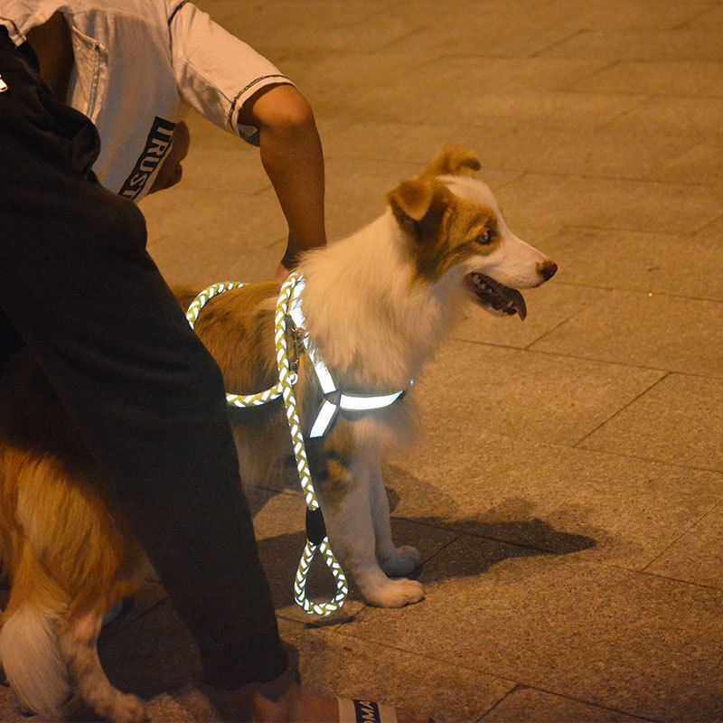 狗狗反光牵引绳胸背带夜用反光狗链中小型哈士奇金毛背心式遛狗绳