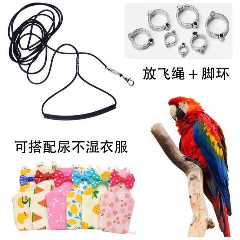鹦鹉放飞绳玄凤虎皮牡丹牵引绳脚环遛鸟绳鸟用飞行绳训练绳鸟绳子