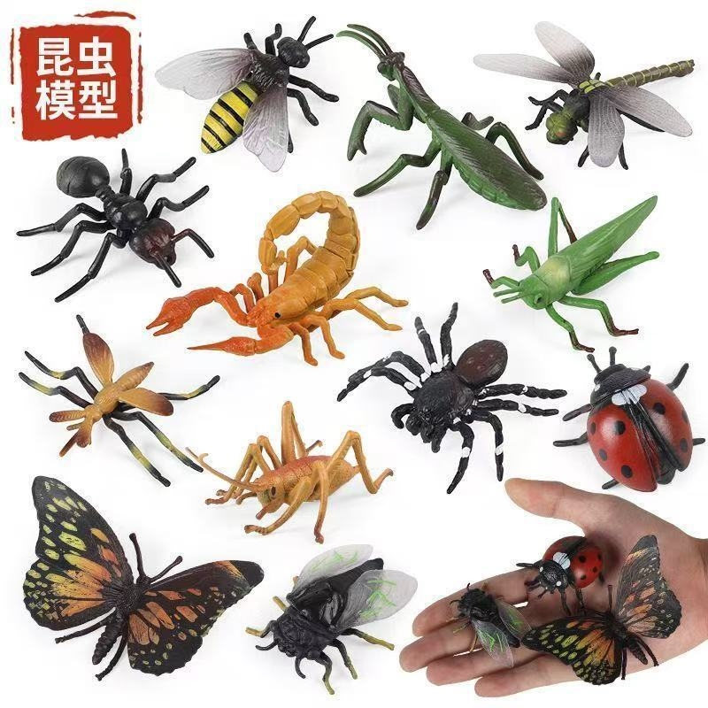 昆虫玩具仿真摆件全套儿童科教认知昆虫大百科昆虫标本幼儿园玩具