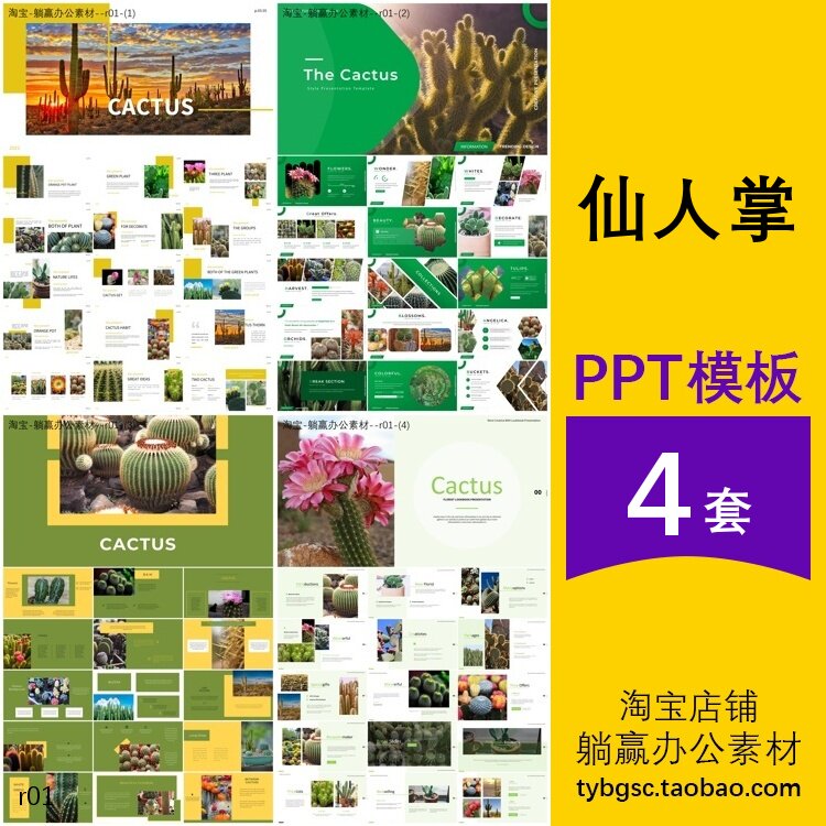 仙人掌ppt介绍植物花卉认识观察保护种植简介主题背景ppt模板