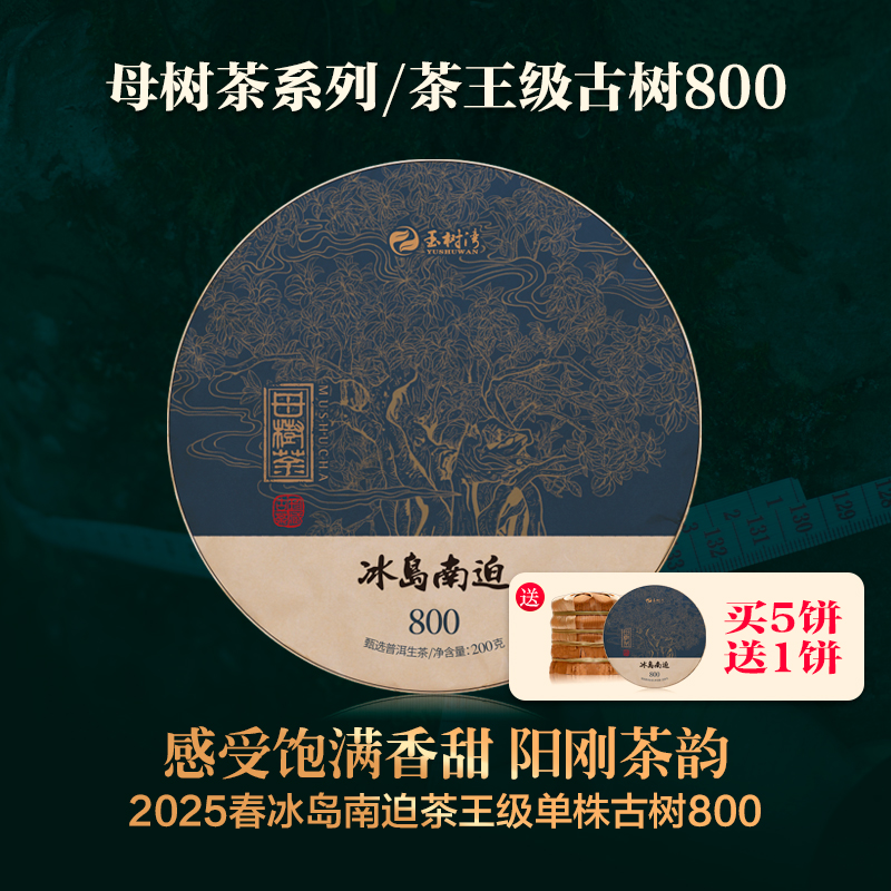 冰岛南迫老寨茶王级古树800普洱