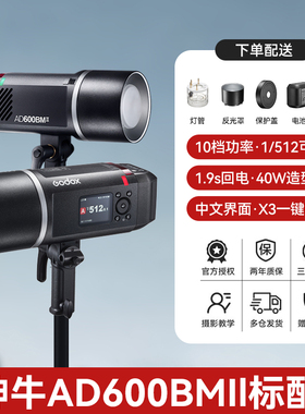 神牛外拍灯AD600BM II二代闪光灯自动测光TTL 户外摄影灯高速同步摄影棚外拍灯600W大功率影室灯