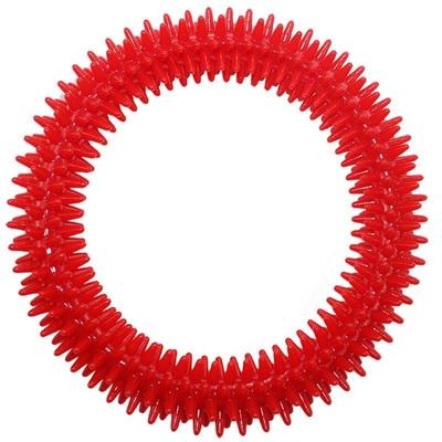 触觉环感统训练儿童触觉圆环扭扭圈按摩刷魔术环弹跳圈家用玩具