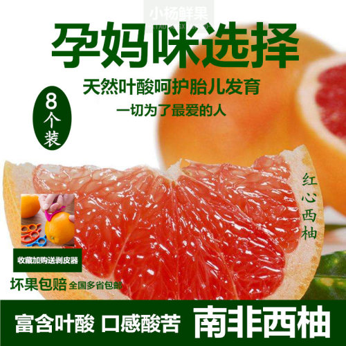 南非进口西柚8个装大果柚子红心