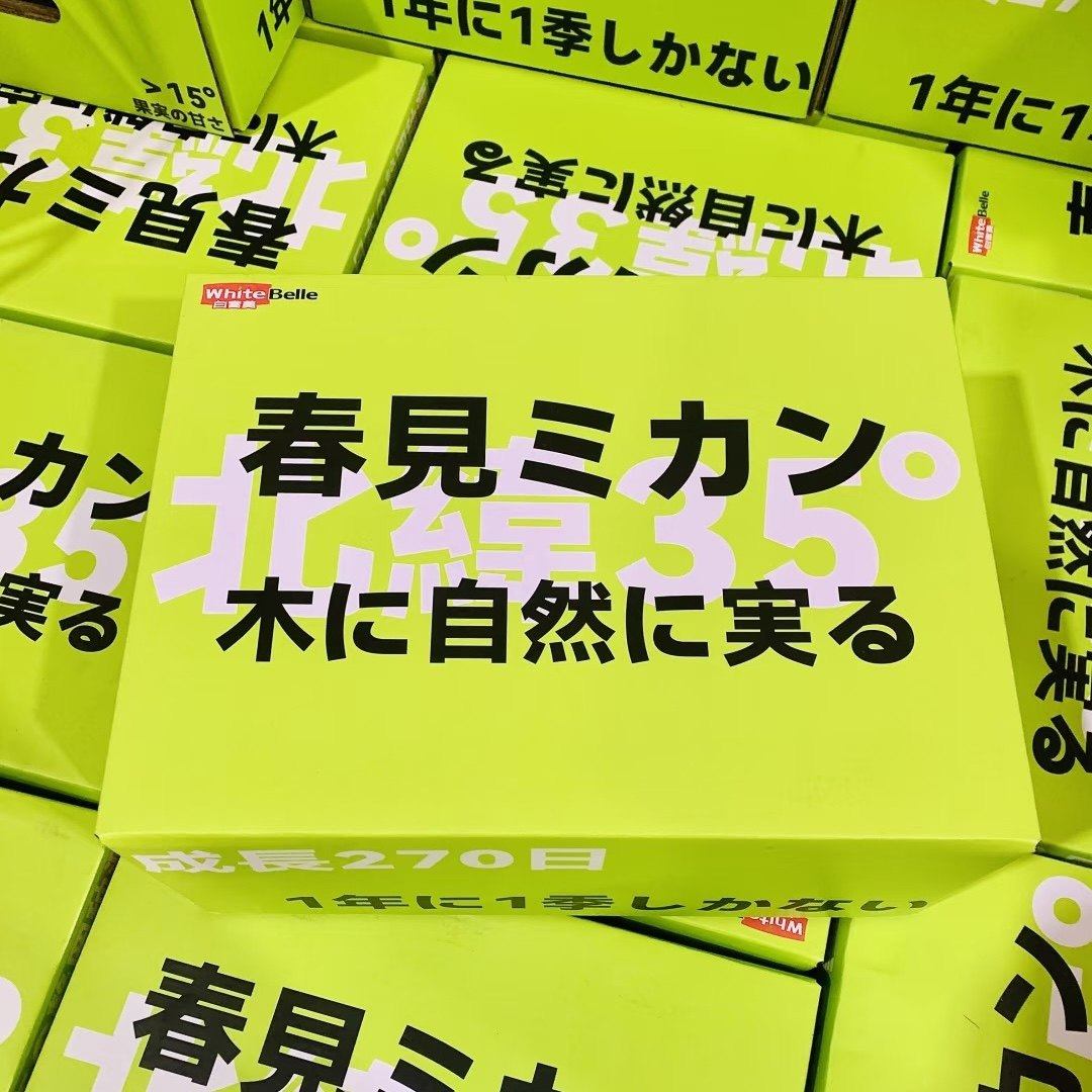 日本静冈种源白富美春见粑粑柑原箱礼盒7斤新鲜水果甜嫩18度橘子,水产肉类/新鲜蔬果/熟食,桔子,淘宝优惠券,粉丝福利购,淘宝优惠卷