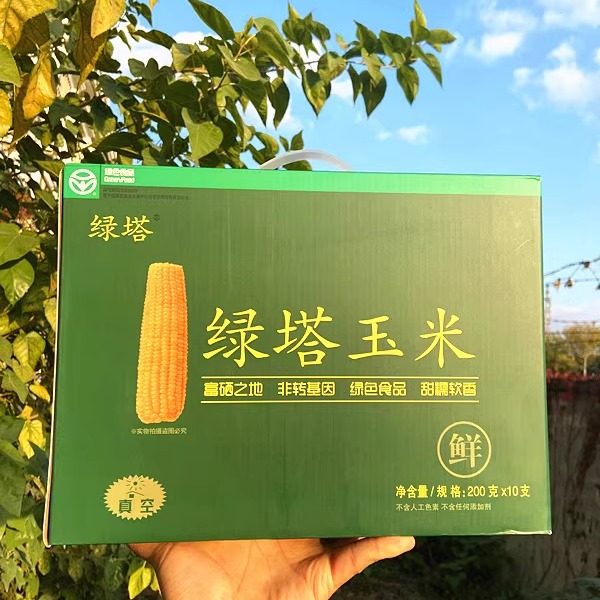 绿塔玉米富硒东北新鲜黄糯黏10根甜糯玉米棒非转基因铝箔真空包装,粮油调味/速食/干货/烘焙,玉米,淘宝优惠券,粉丝福利购,淘宝优惠卷