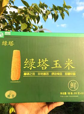 东北绿塔黄糯玉米礼盒装