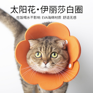Meoof太阳花伊丽莎白圈EVA海绵轻薄头套猫咪脖圈防舔耻辱圈绝育用