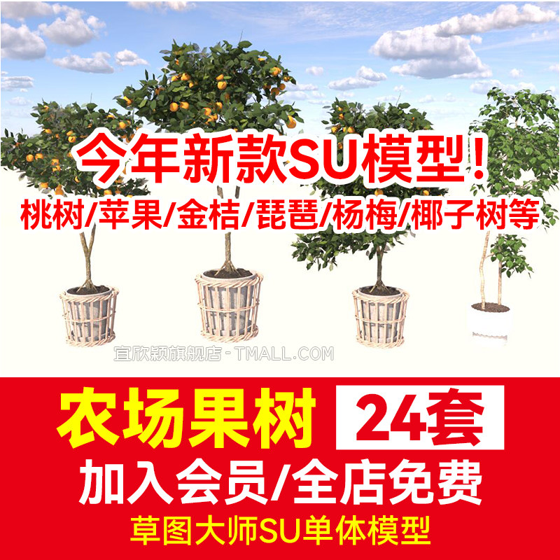 农场庭院果树3d植物琵琶桃树柚子SU模型金钱橘金桔石榴甜橙子苹果