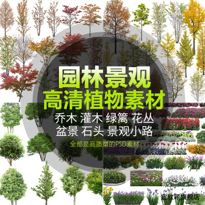 建筑景观园林效果图植物PSD分层