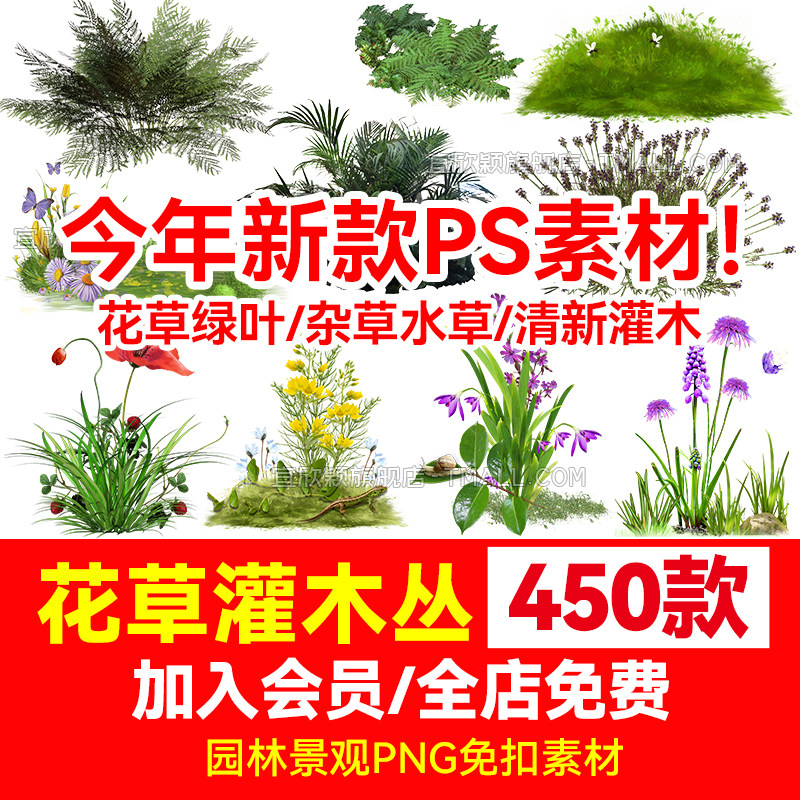 园林景观花草绿叶杂草水草灌木丛观赏植物png免抠透明图片ps素材