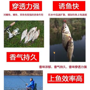 钓鱼专用香精 秘诱浓缩香精 鲫鱼必杀小药饵料食品添加剂黑坑500g