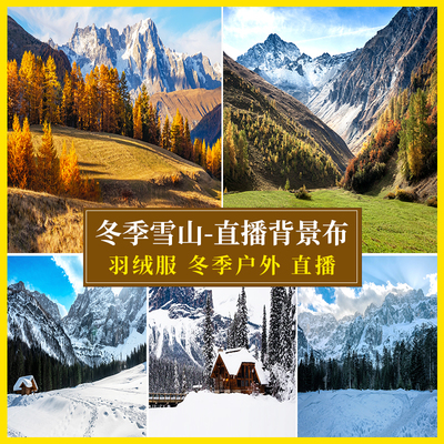 冬季雪景直播背景墙3d立体高清仿真壁布冰山羽绒服户外深林场景布置搭建男女主播带货登山冲锋衣可定制背景布