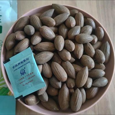 豆熊香榧200g装新货香菲干袋果仁TBE香憨榧子净重坚果炒货诸暨仁