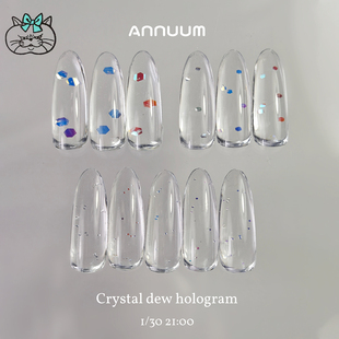 ANNUUM安纽2026新品Crystal dew hologram亮片素材超闪美甲饰品