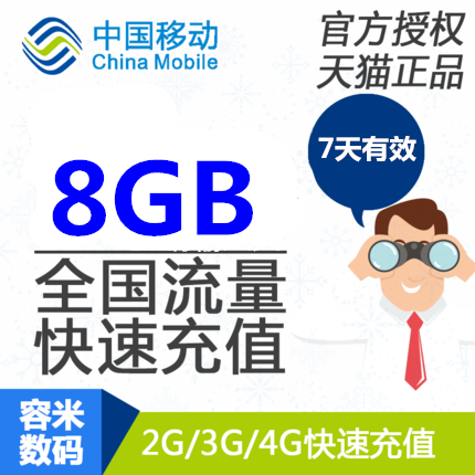 8GB