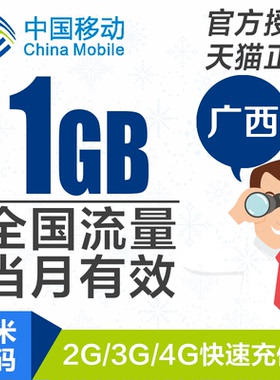 广西移动流量充值1GB全国流量234G加油包当月有效YZM