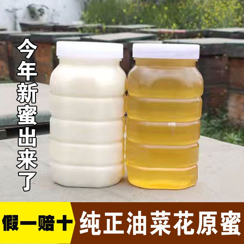 24年油菜花蜂蜜无添加天然成熟野生纯正农家自产结晶原蜜特价包邮