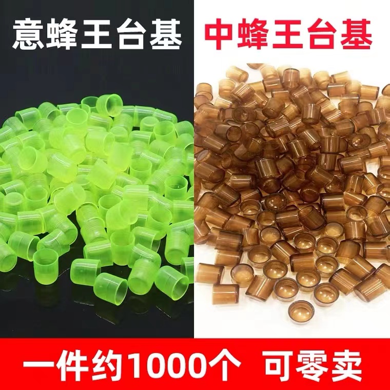 优质中意蜂塑料育王杯王台基蜂具