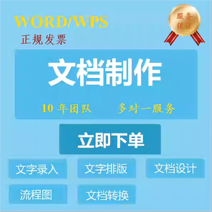 word排版修改人工代做PDF图片格式调整文档定制工作文件整理手工