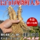 野生鲜人参泡酒吉林长白山大个人参新鲜带土人参特大参整支 包邮