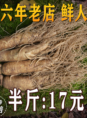 现挖东北吉林长白山特大小带土林下枝整支残肢新鲜人参须煲汤泡酒