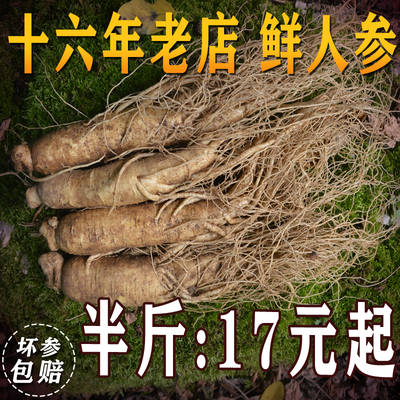 长白山人参新鲜人参特大林下泡酒