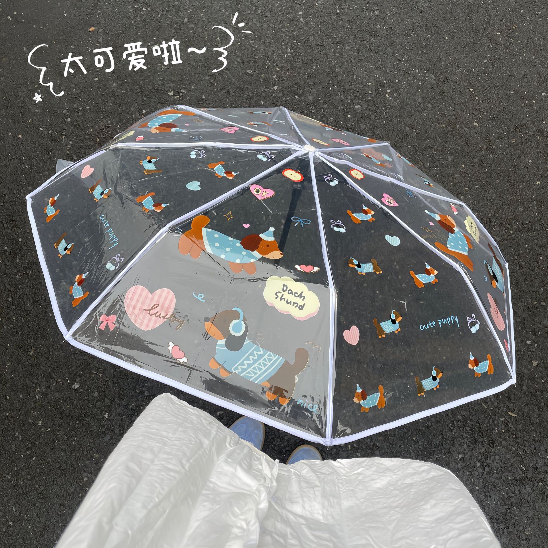 腊肠狗全自动折叠透明雨伞学生可爱ins卡通三折手动清新长柄加厚图片