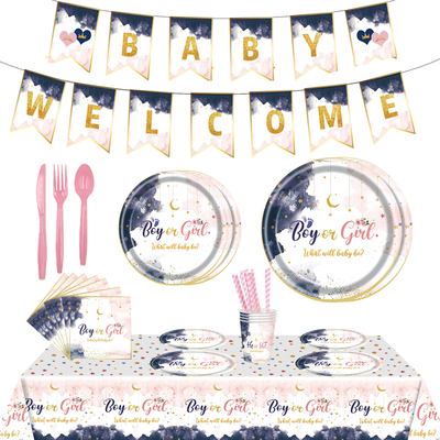 性别揭示babyshower纸杯纸盘桌布
