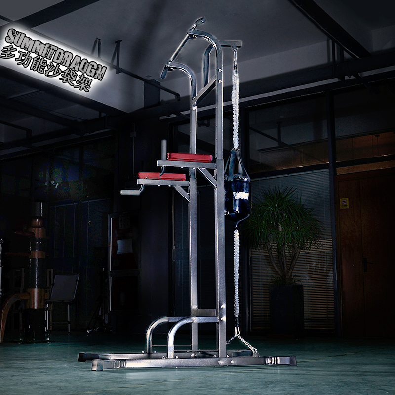 多功能室内单杠SUMMITDRAGON