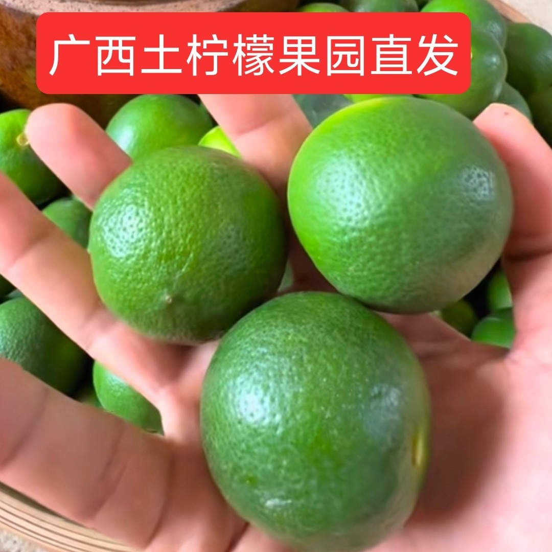 新鲜土柠檬广西牛脚子现摘本地土青柠檬小柠檬老柠檬腌制咸柠专用