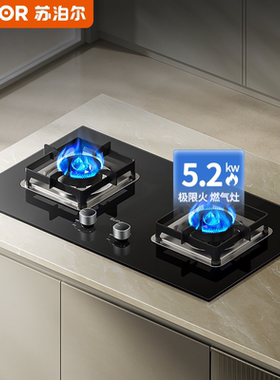 苏泊尔MB16S燃气煤气双灶家用厨房台嵌两用天然气液化气煤气灶