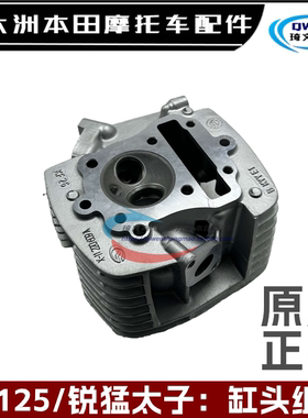 适用新大洲本田CB125锐彪锐猛太子缸头SDH125-53-56汽缸头原厂