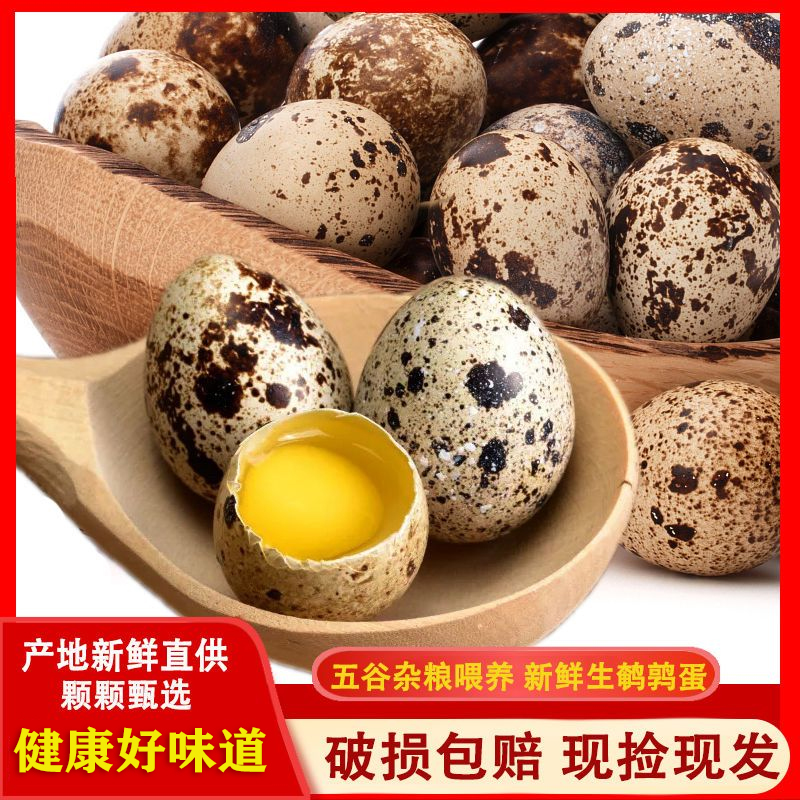 农场无激素孕妇破损包赔鹌鹑蛋