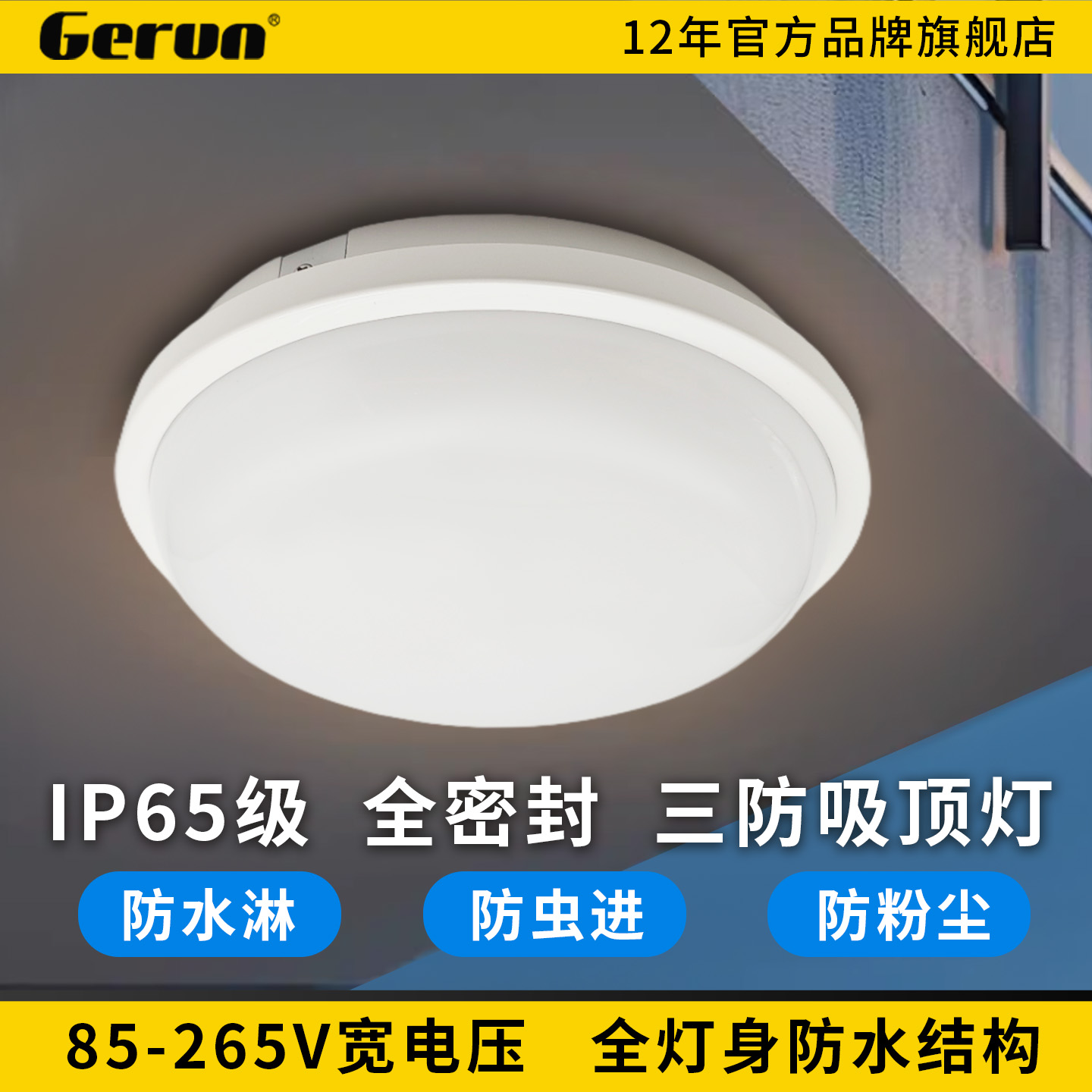IP65户外防水吸顶灯LED