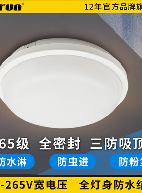 IP65户外防水吸顶灯LED阳台浴室屋檐阳光房凉亭85-265V电压三防灯
